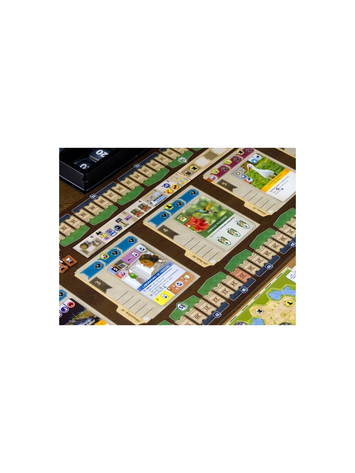 Ark Nova de Maldito Games en Juegos de Tablero | La Cueva Roja