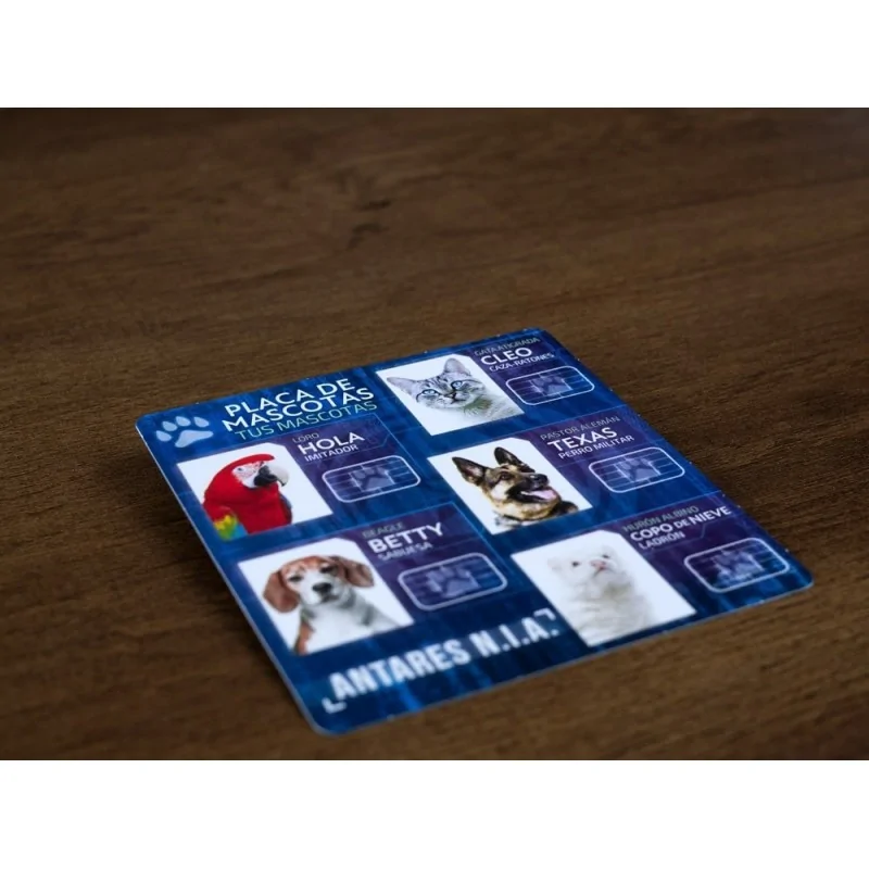 Detective: Pequeños Agentes de Maldito Games en Juegos de Tablero | La Cueva Roja