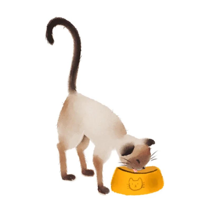 Cat Café de Cacahuete Games en Juegos de Tablero | La Cueva Roja