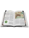 Lex Arcana: Misterios del Imperio de Cursed Ink en Juegos de Rol | La Cueva Roja