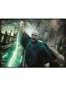 Puzzle Lenticular Voldemort Harry Potter 300pzs de PRIME 3D en Otros | La Cueva Roja