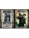 Puzzle para Rascar Wanted Harry Potter 500pzs de PRIME 3D en Otros | La Cueva Roja