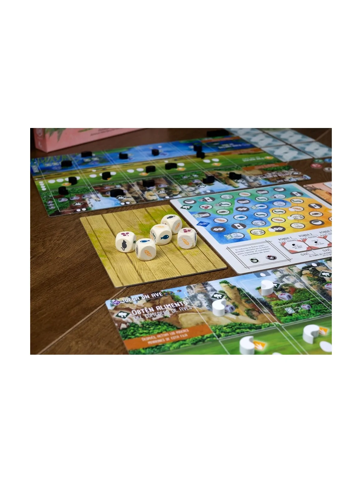 Wingspan: Expansion Asia de Maldito Games en Juegos de Tablero | La Cueva Roja