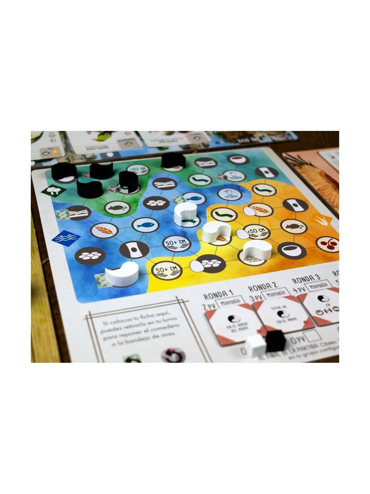 Wingspan: Expansion Asia de Maldito Games en Juegos de Tablero | La Cueva Roja