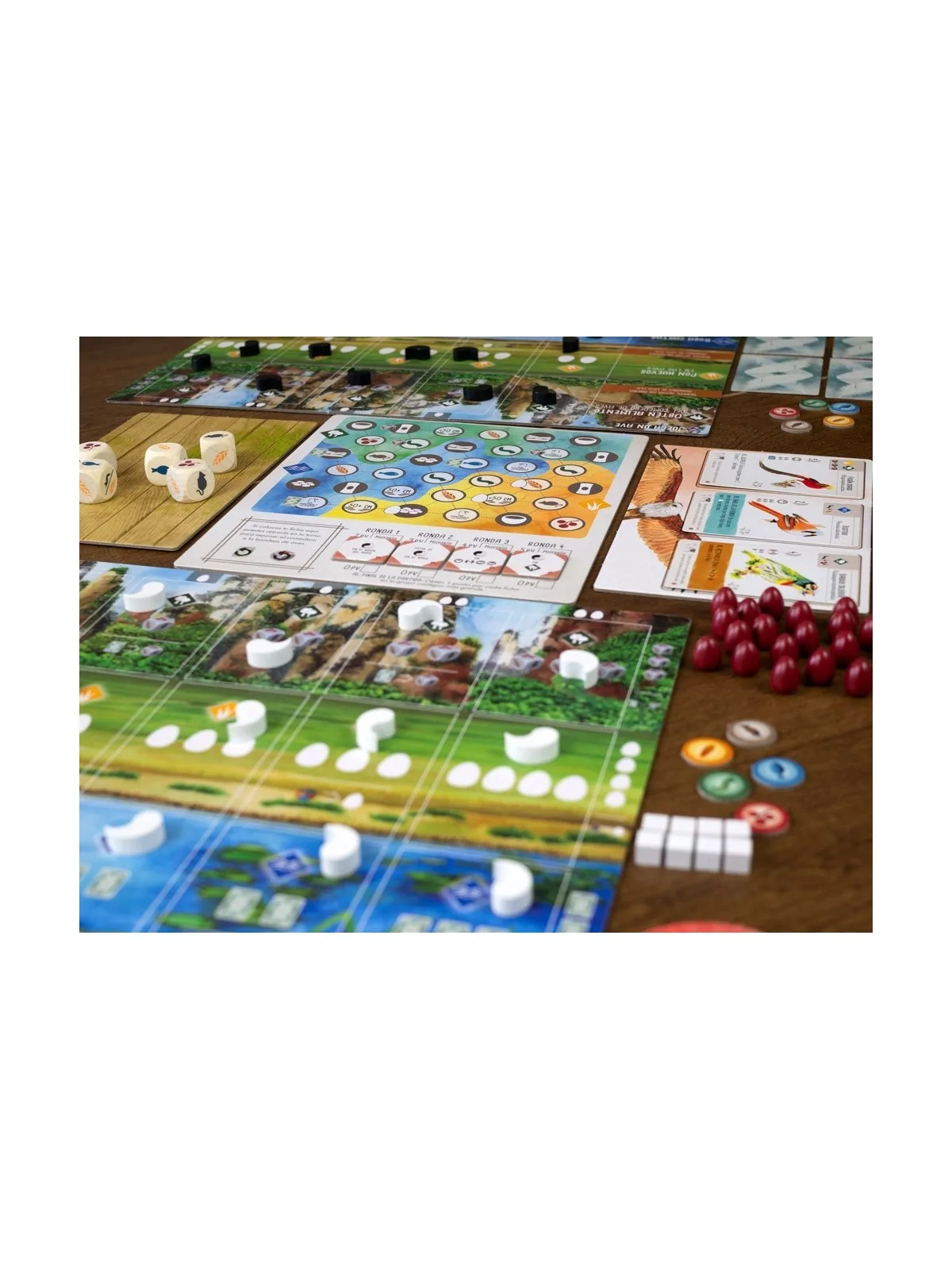 Wingspan: Expansion Asia de Maldito Games en Juegos de Tablero | La Cueva Roja