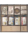Inserto Compatible con Great Western Trail: Argentina de WithOut Mess en Merchandising | La Cueva Roja