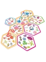 Dobble Connect de Zygomatic en Juegos de Cartas | La Cueva Roja