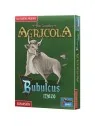 Agricola: Bubulcus Mazo de Juegos en Juegos de Tablero | La Cueva Roja