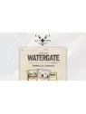Watergate + Promo Cambia la Historia de Salt and Pepper Games en Juegos de Tablero | La Cueva Roja