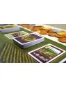 Viticulture: Edición Esencial de Maldito Games en Juegos de Tablero | La Cueva Roja