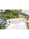 Viticulture: Edición Esencial de Maldito Games en Juegos de Tablero | La Cueva Roja
