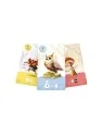 Equinox: Edición Verde de Plan B Games en Juegos de Cartas | La Cueva Roja