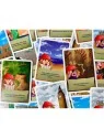 Club A: Jessie The Tourist de Atomo Games en Juegos de Cartas | La Cueva Roja