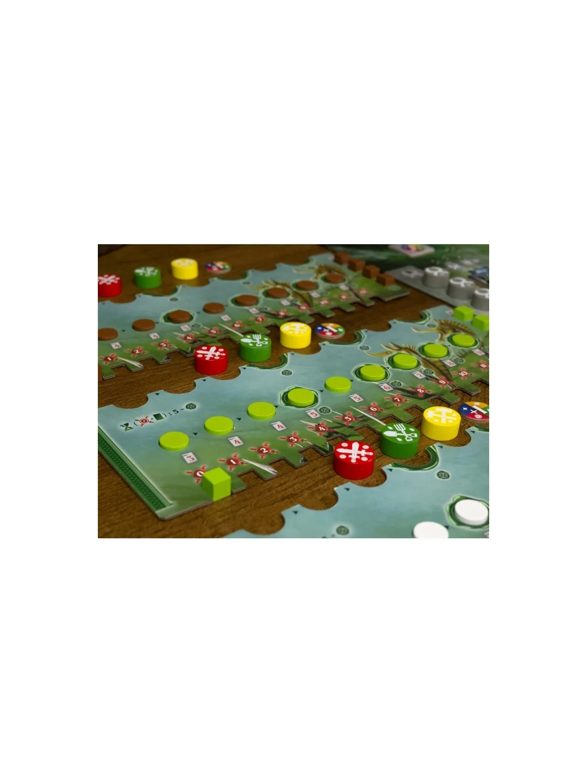 Celtae de Maldito Games en Juegos de Tablero | La Cueva Roja