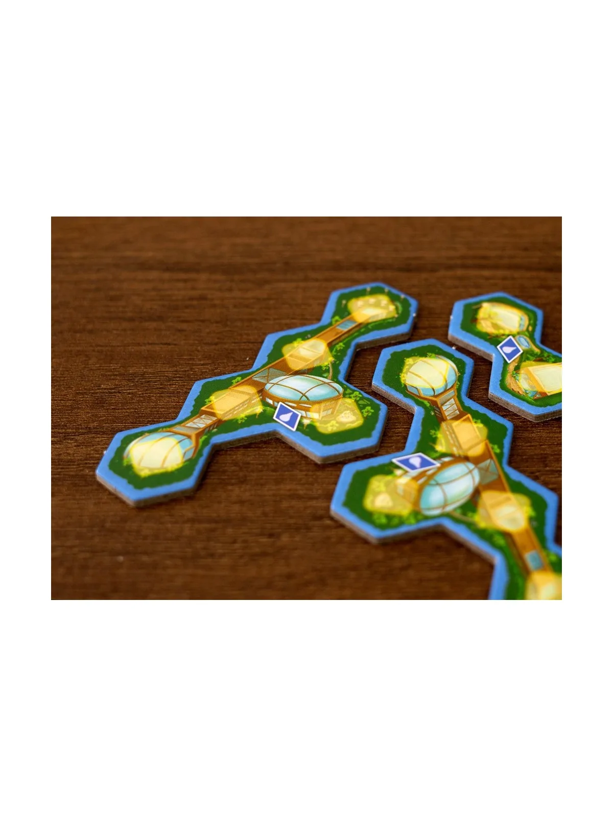 Ark Nova: Mundo Marino de Maldito Games en Juegos de Tablero | La Cueva Roja