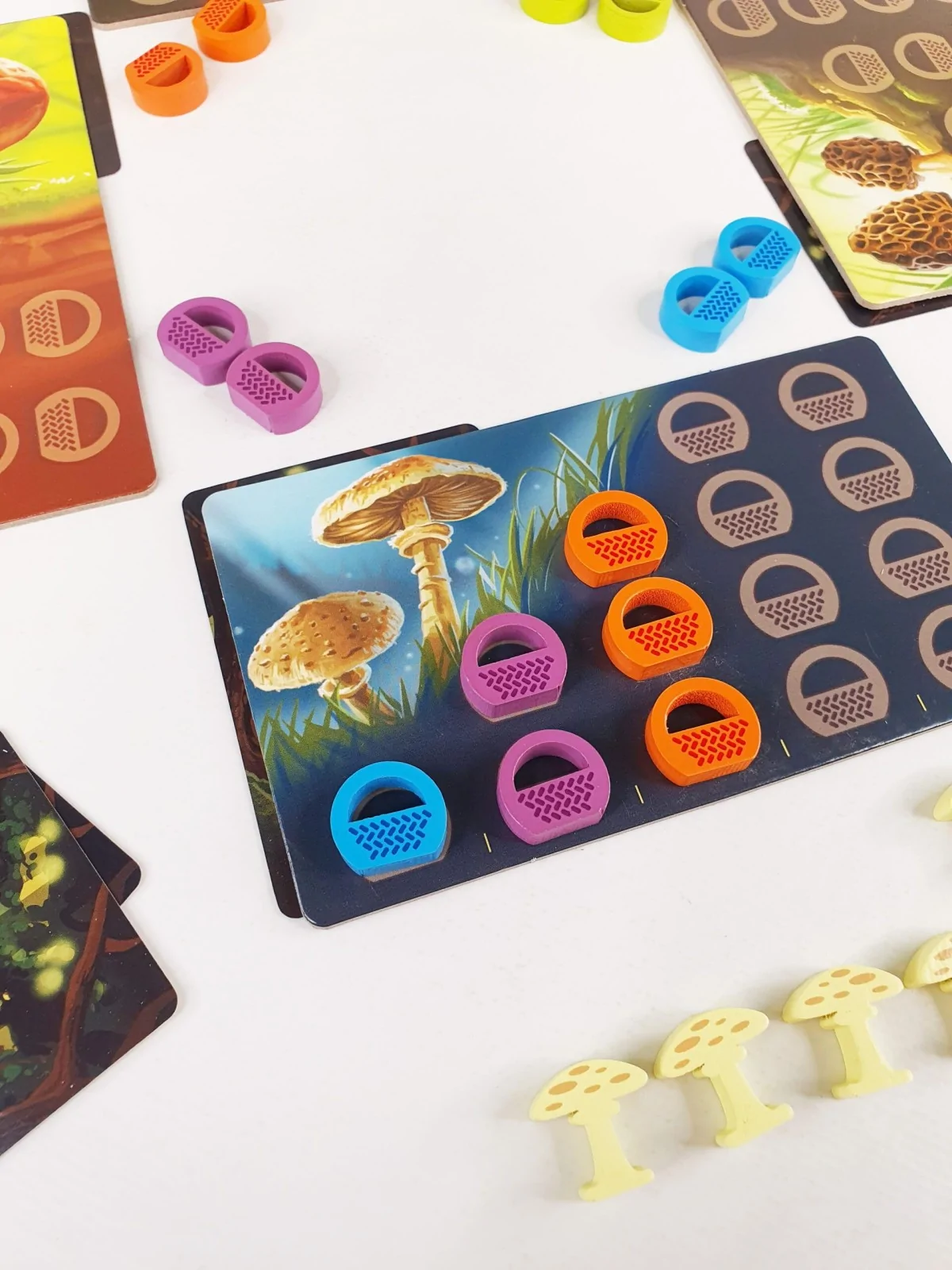Bosque Encantado de Mebo Games en Juegos de Tablero | La Cueva Roja