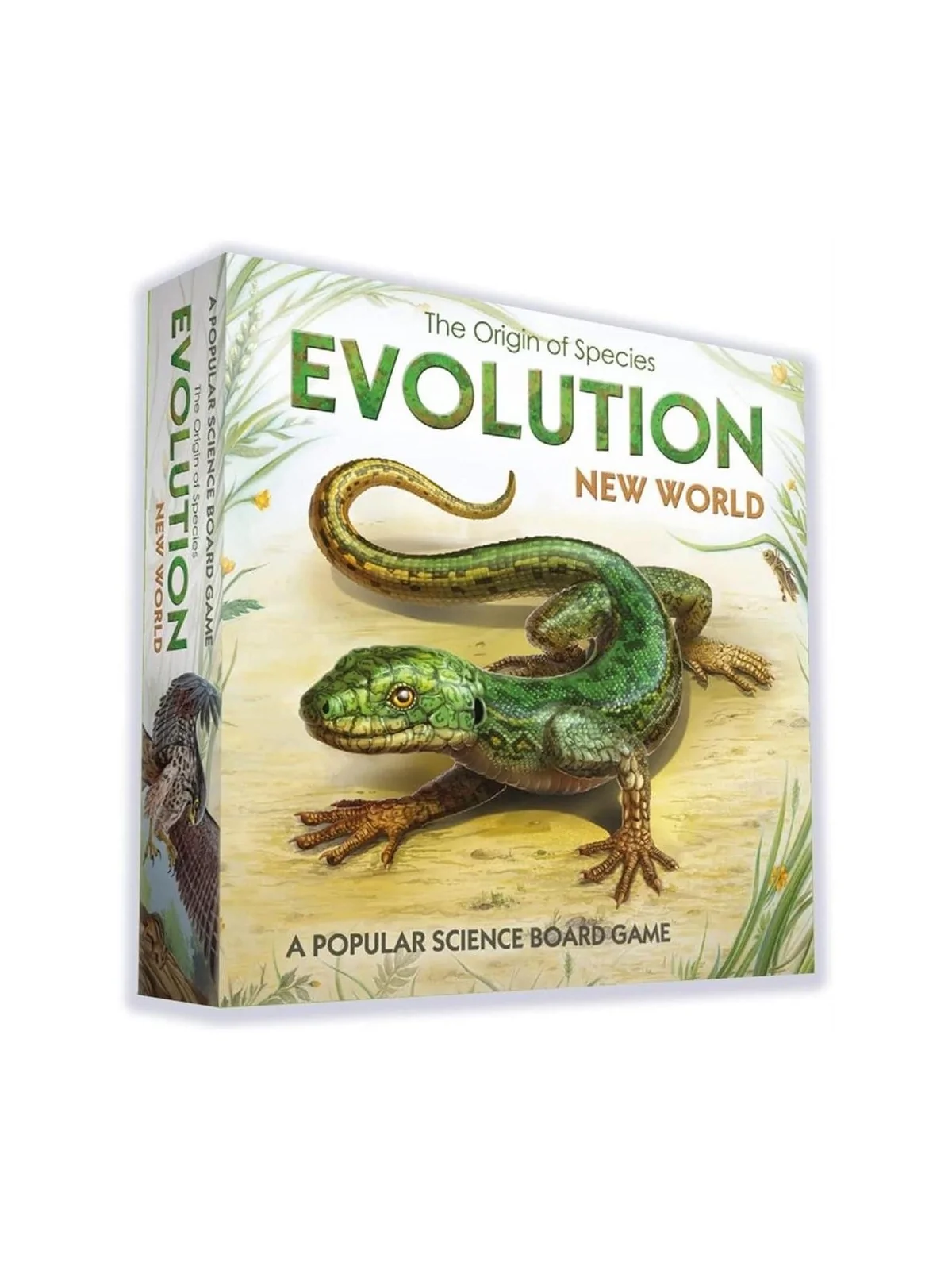 Evolution New World (Inglés) de Juegos en Juegos de Tablero | La Cueva Roja