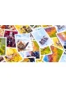 Pixies de Tranjis Games en Juegos de Cartas | La Cueva Roja