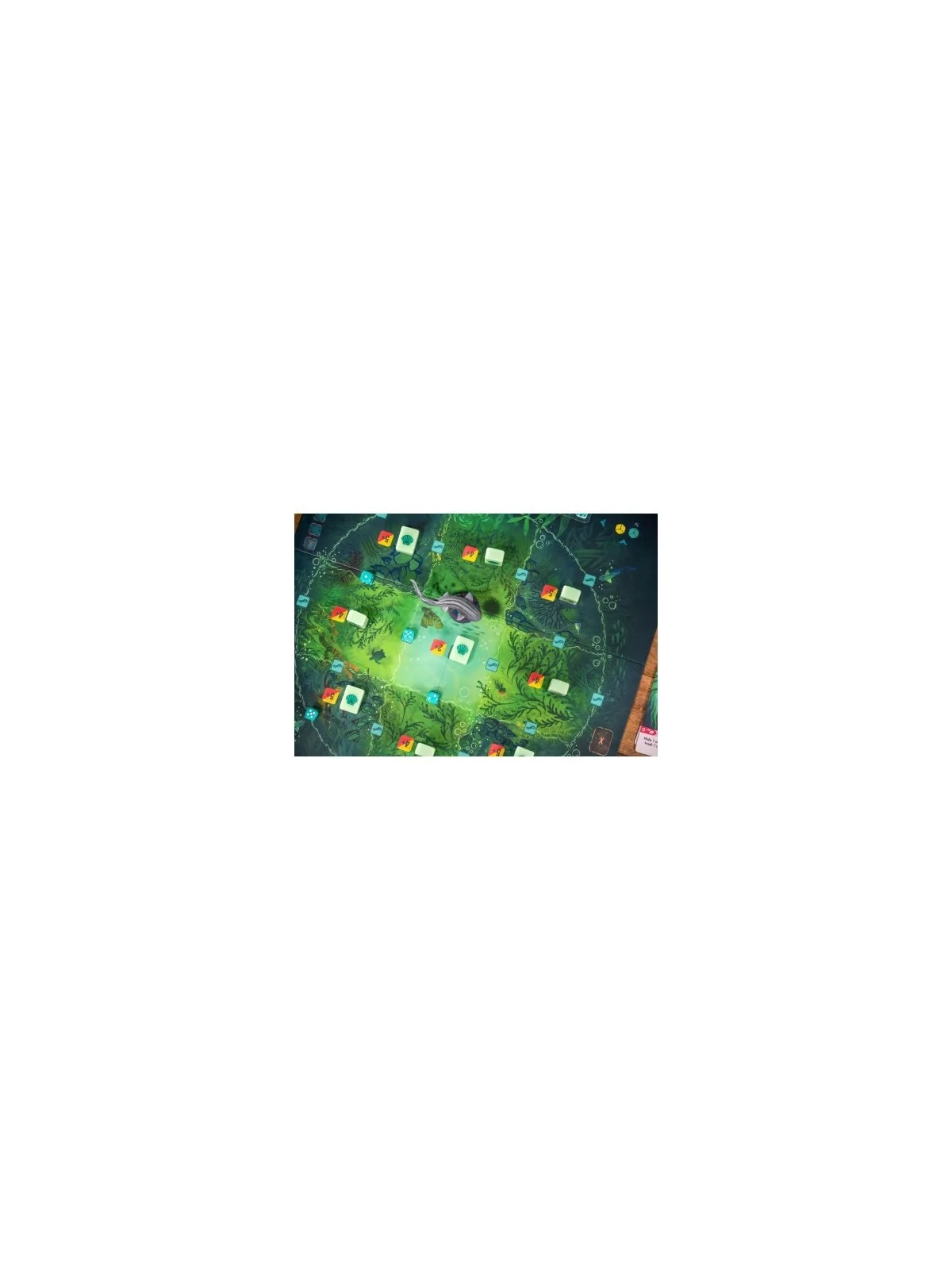 Kelp de Delirium Games en Juegos de Tablero | La Cueva Roja