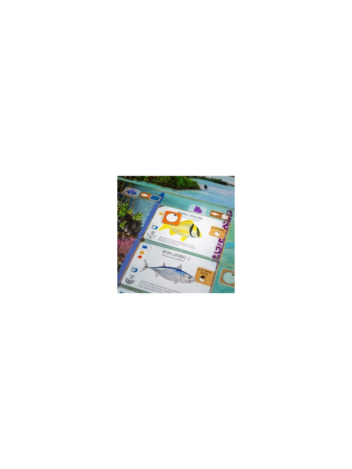 Finspan de Maldito Games en Juegos de Tablero | La Cueva Roja