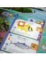 Finspan de Maldito Games en Juegos de Tablero | La Cueva Roja