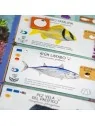 Finspan de Maldito Games en Juegos de Tablero | La Cueva Roja