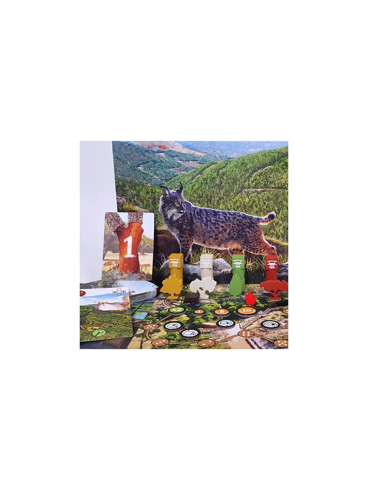 Floresta de Mebo Games en Ofertas | La Cueva Roja