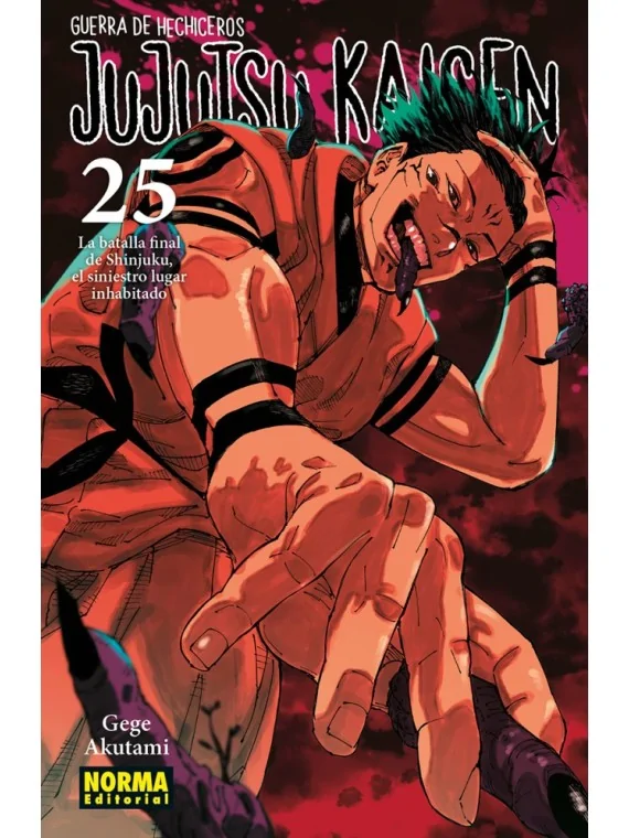 Jujutsu Kaisen 25 de Norma Editorial en Mangas | La Cueva Roja