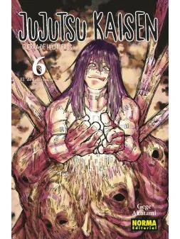 Jujutsu Kaisen 06 de Norma Editorial en Mangas | La Cueva Roja