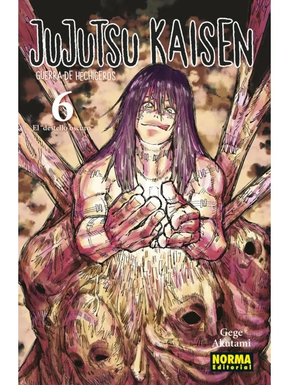 Jujutsu Kaisen 06 de Norma Editorial en Mangas | La Cueva Roja
