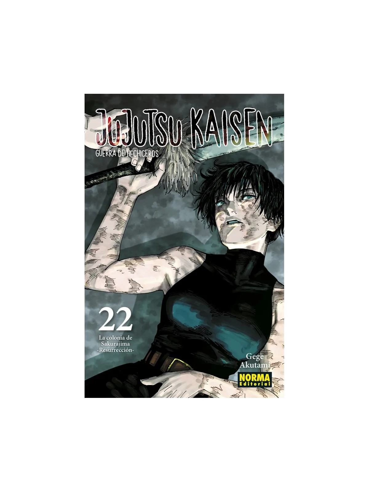 Jujutsu Kaisen 22 de Norma Editorial en Mangas | La Cueva Roja