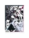 Pokemon TCG: Fulgor Negro y Llama Blanca – Colección con Póster (ES) de Pokémon en Pokemon TCG | La Cueva Roja