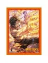 OPCG: Official Sleeves Limited Edition Vol.10 (Portgas D Ace) de Bandai en One Piece Card Game | La Cueva Roja