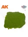 Plague Ground AK 100ml (AK1217) de AK Interactive en Terrains | La Cueva Roja