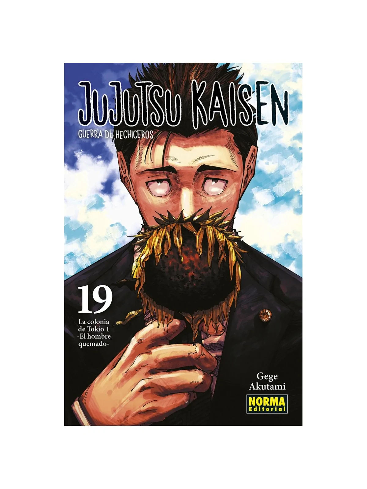Jujutsu Kaisen 19 de Norma Editorial en Mangas | La Cueva Roja