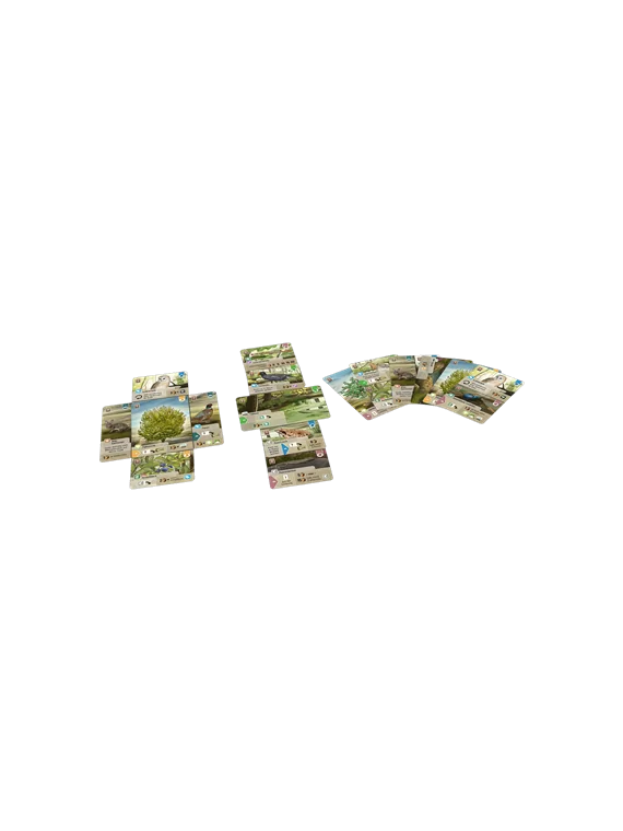 Forest Shuffle Dartmoor de Lookout Games en Juegos de Tablero | La Cueva Roja
