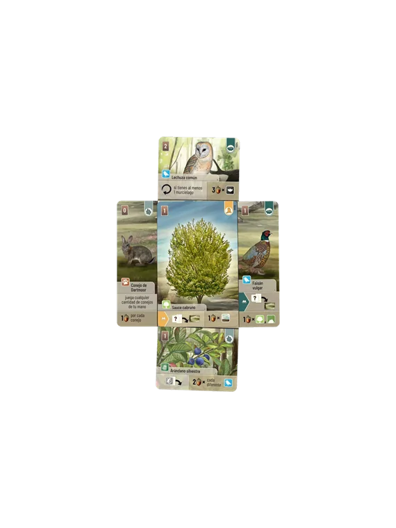 Forest Shuffle Dartmoor de Lookout Games en Juegos de Tablero | La Cueva Roja