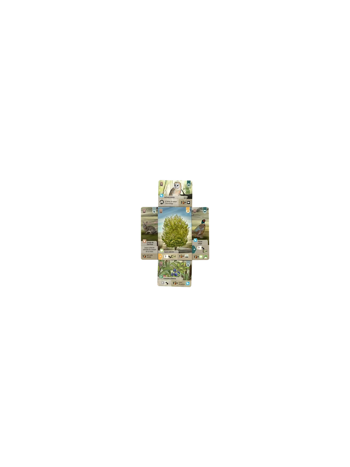 Forest Shuffle Dartmoor de Lookout Games en Juegos de Tablero | La Cueva Roja