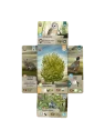 Forest Shuffle Dartmoor de Lookout Games en Juegos de Tablero | La Cueva Roja