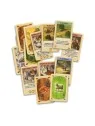 Catan Cartas de Devir en Juegos de Cartas | La Cueva Roja