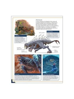 El Archivo de las Tormentas: Bienvenidos a Roshar de Devir en Juegos de Rol | La Cueva Roja