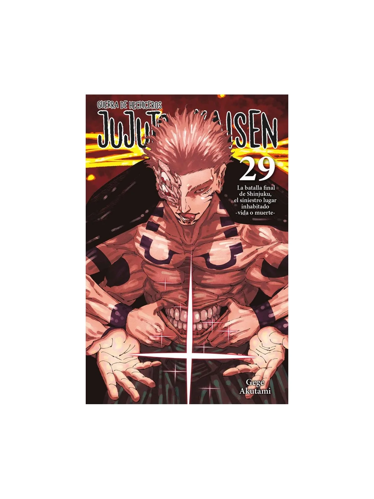 Jujutsu Kaisen 29 de Norma Editorial en Mangas | La Cueva Roja