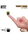 Mata Espinosa: Verde Seco (Green Stuff World) de Green Stuff World en Modelismo | La Cueva Roja