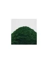Cesped Electrostatico 2-3mm: Deep Green Meadow  200ml (Green Stuff World) de Green Stuff World en Modelismo | La Cueva Roja