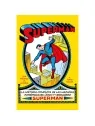 DC Edición Facsímil: Superman 1 de Panini Comics en Cómics Americano | La Cueva Roja