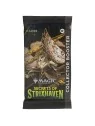 Magic the Gathering: Secrets of Strixhaven – Collector’s Booster (1) (Ingles) de Wizards Of The Coast en Magic The Gathering | L
