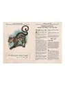 Cats of Catthulhu de The Hills Press en Juegos de Rol | La Cueva Roja