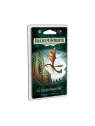 Arkham Horror LCG: El Museo Miskatonic de Fantasy Flight Games en Juegos de Cartas | La Cueva Roja