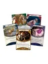 Arkham Horror LCG: Hasta el Cuello de Fantasy Flight Games en Juegos de Cartas | La Cueva Roja