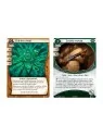 Arkham Horror LCG: Donde Moran los Dioses de Fantasy Flight Games en Juegos de Cartas | La Cueva Roja